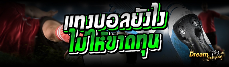 แทงบอลยังไง ไม่ให้ขาดทุน